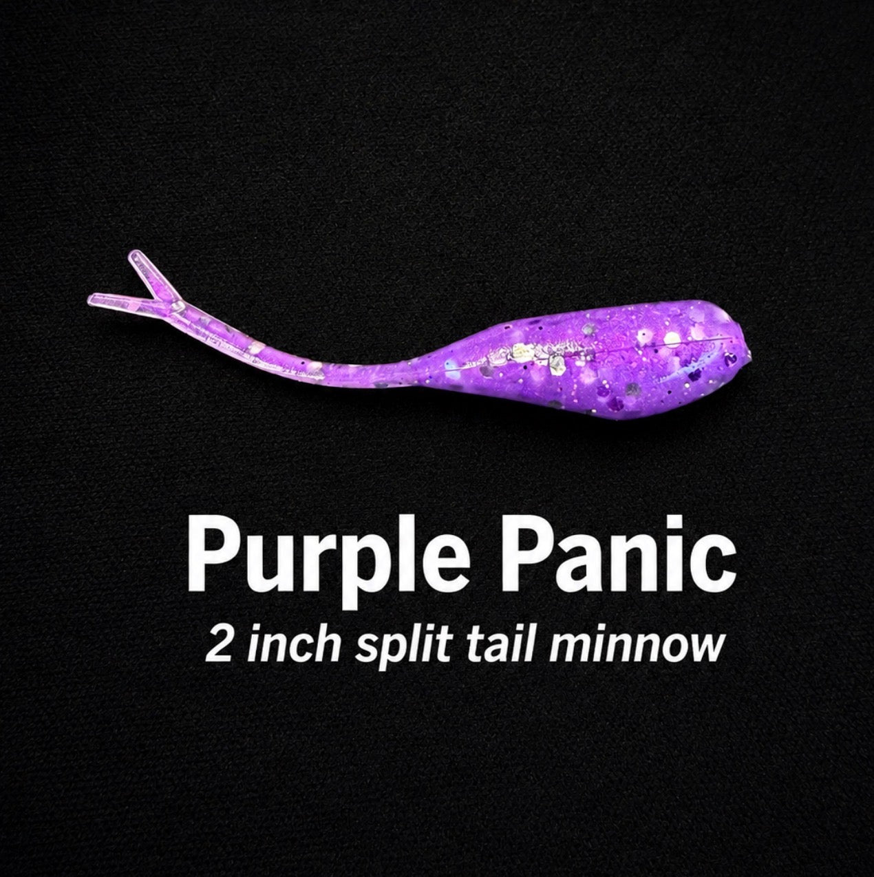 2 inch split tail minnow Purple Panic