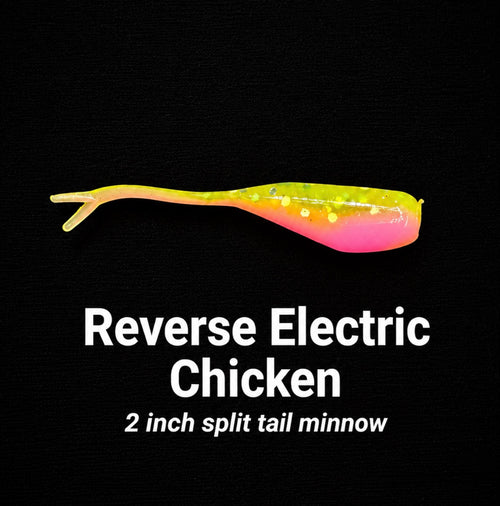 2 in split tail minnow "Reverse Electric Chicken "